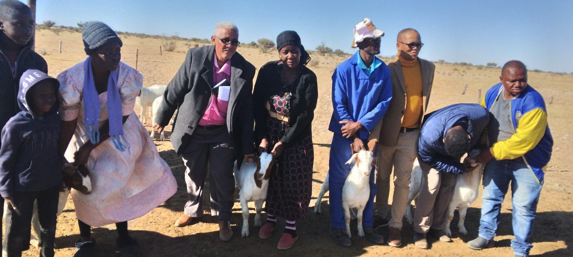 Relief for Farm Geluk residents after lightning kills 29 goats