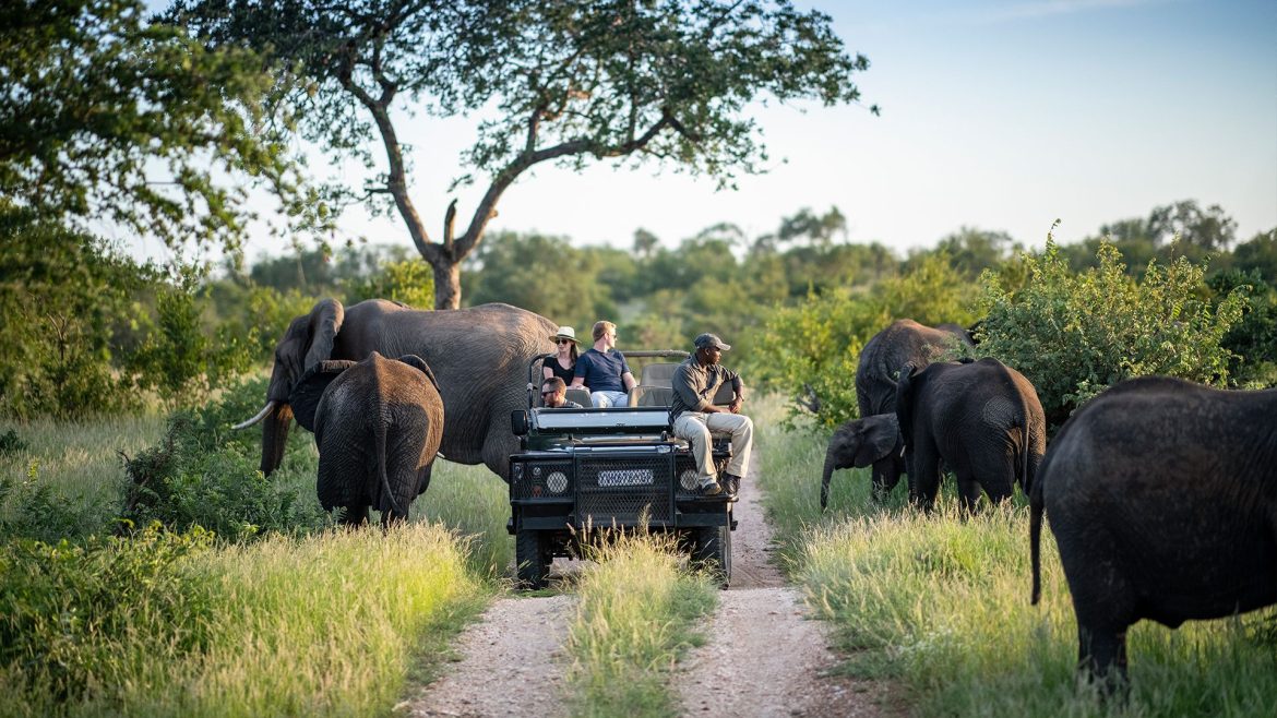 South Africa’s Kruger park partly closed due to heavy rains