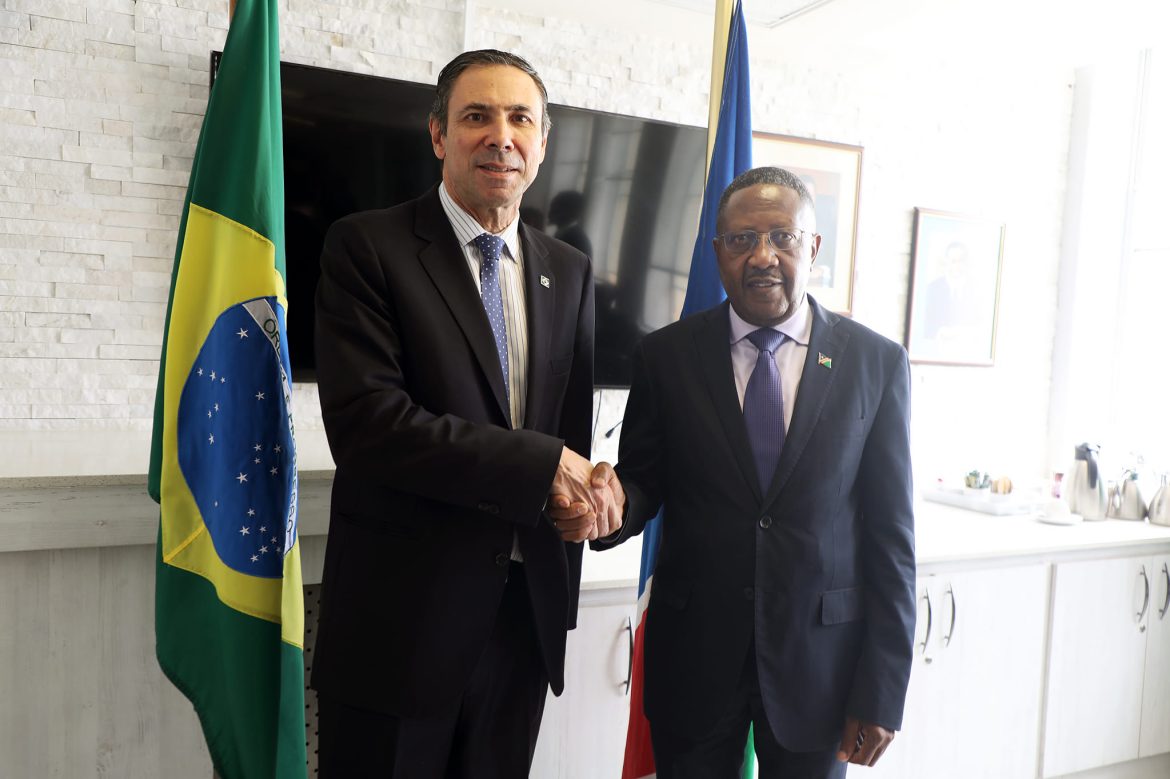 Namibia seeks to diversify areas of cooperation with Brazil