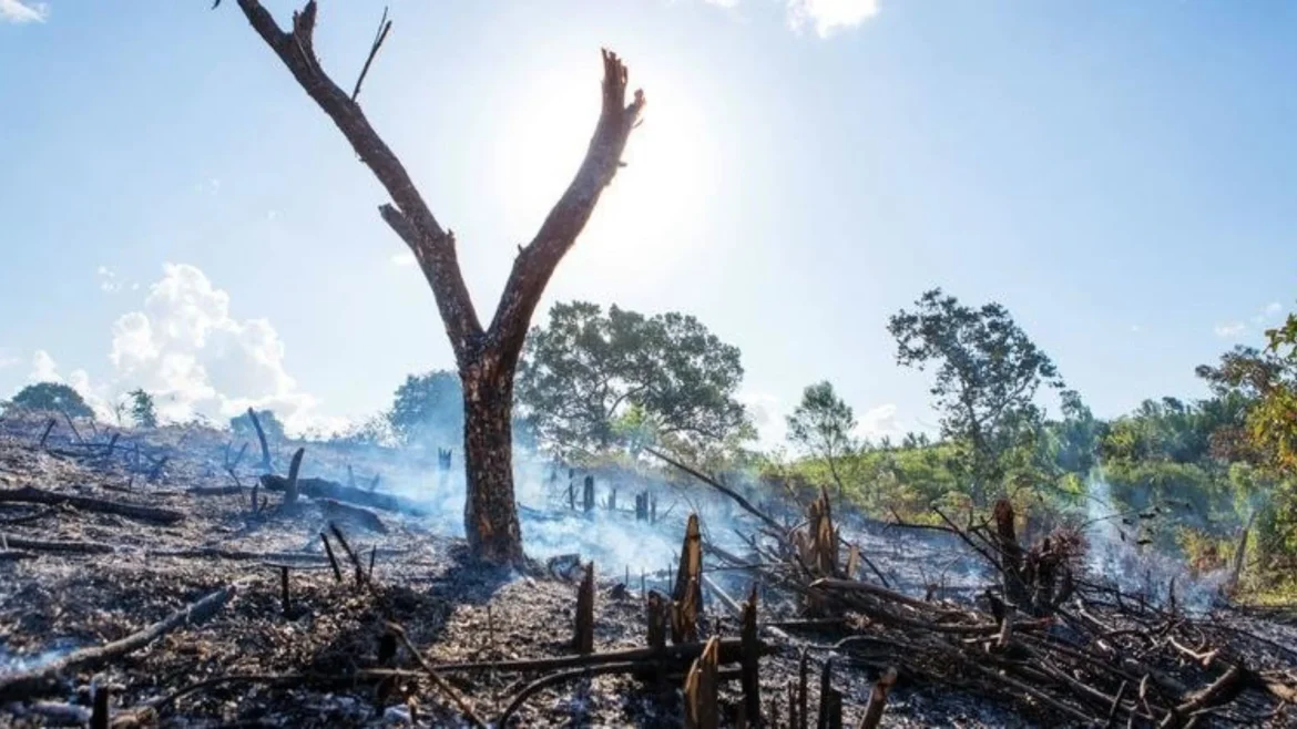 UNEP warns of climate change risks to older persons, ecosystems