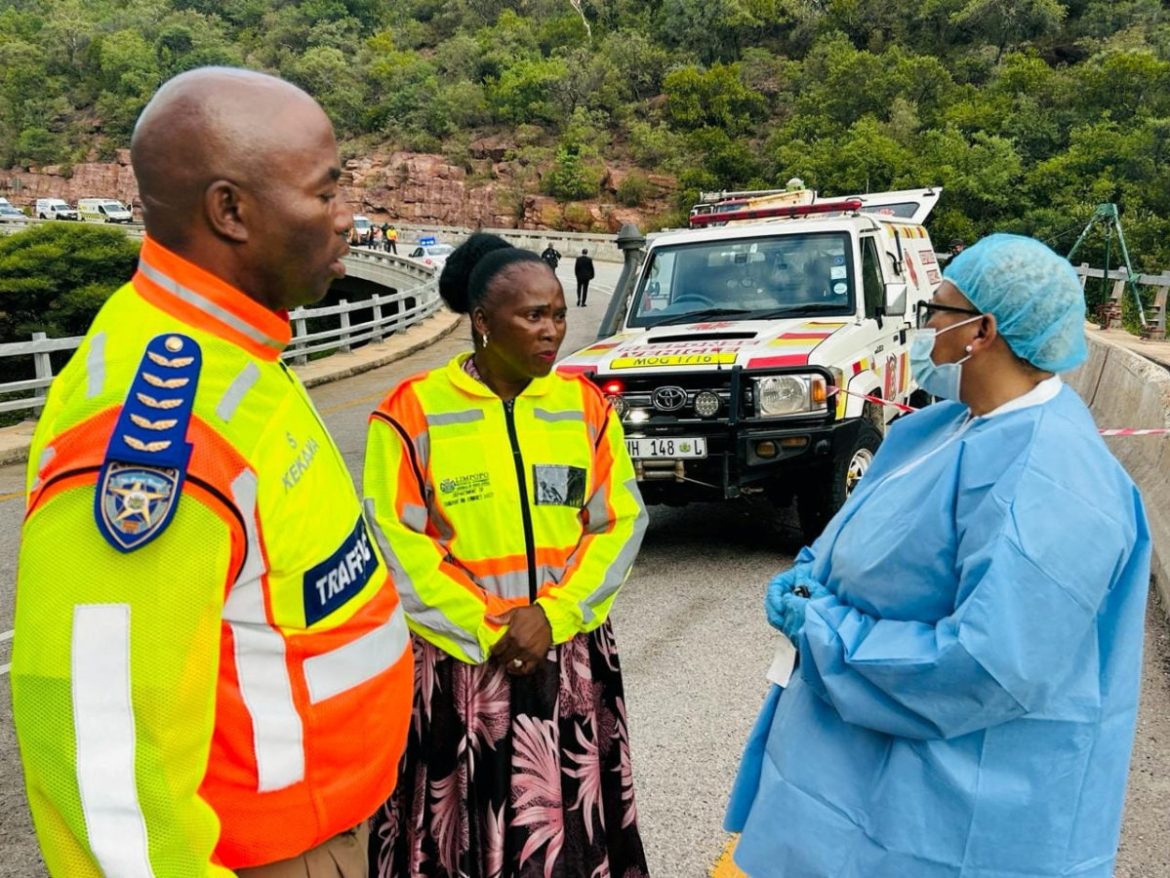 African officials urge swift action to curb rising road deaths, economic losses