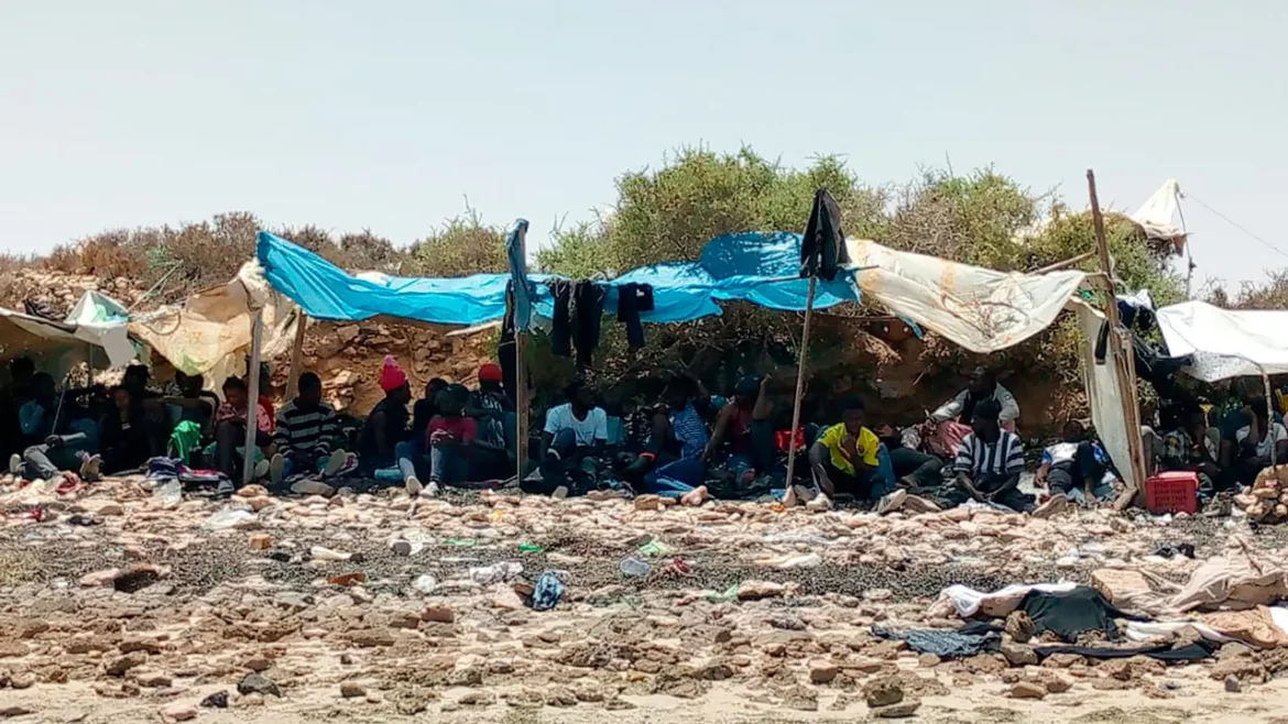 Tunisia repatriates over 4,000 irregular migrants since July 2025